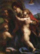 Andrea del Sarto Our Lady of sub oil painting